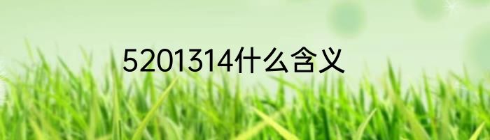 5201314什么含义