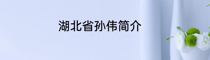 湖北省孙伟简介