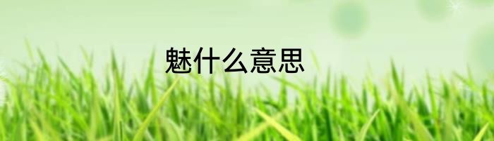 魅什么意思