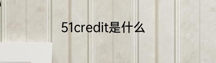51credit是什么