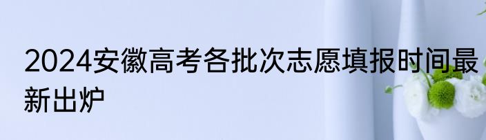 2024安徽高考各批次志愿填报时间最新出炉