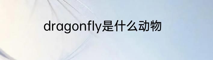 dragonfly是什么动物