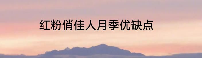 红粉俏佳人月季优缺点