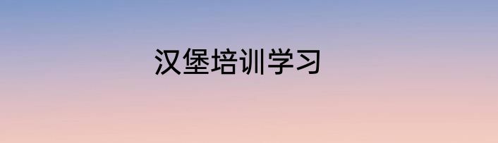 汉堡培训学习