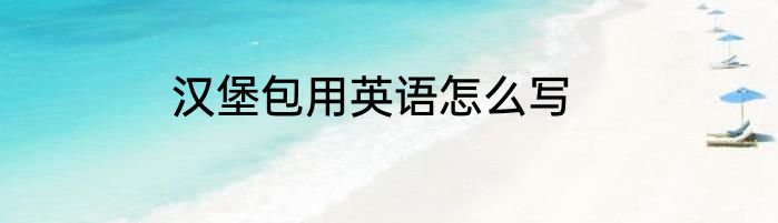 汉堡包用英语怎么写