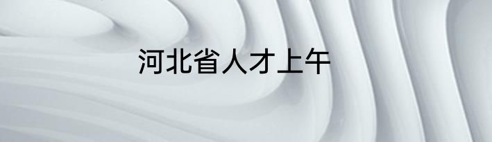河北省人才上午