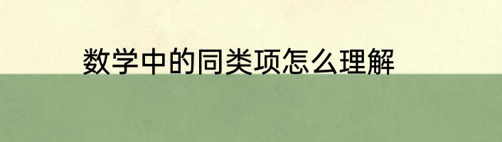 数学中的同类项怎么理解