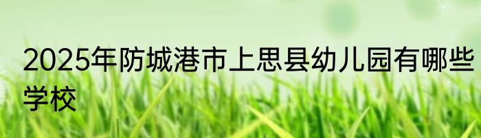 2025年防城港市上思县幼儿园有哪些学校