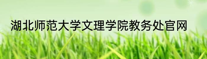 湖北师范大学文理学院教务处官网