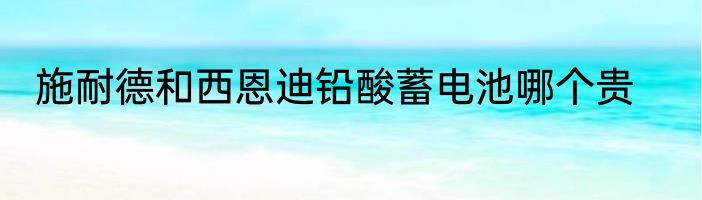 施耐德和西恩迪铅酸蓄电池哪个贵