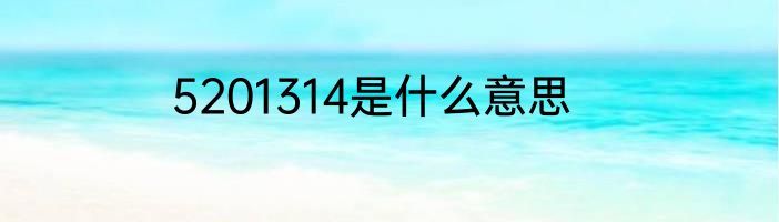 5201314是什么意思