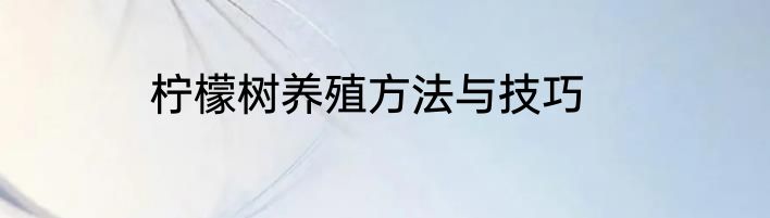 柠檬树养殖方法与技巧