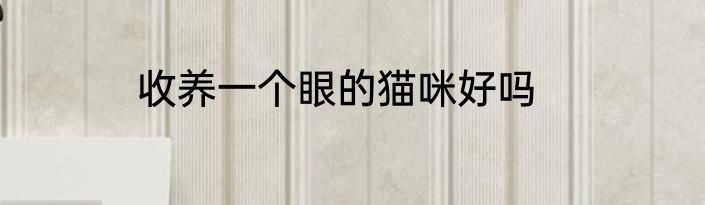 收养一个眼的猫咪好吗