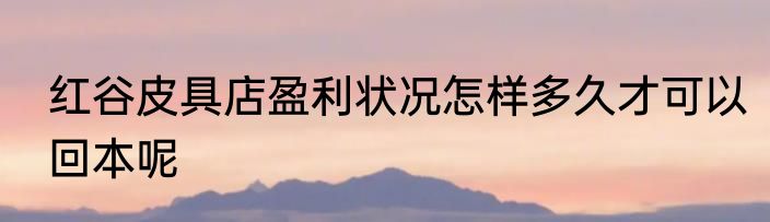 红谷皮具店盈利状况怎样多久才可以回本呢