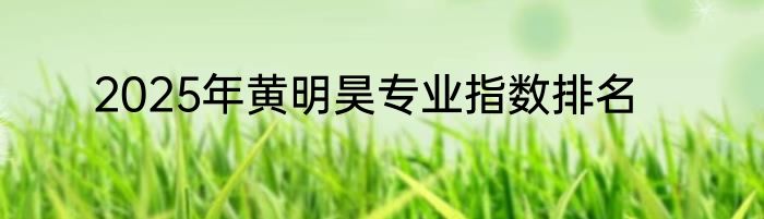 2025年黄明昊专业指数排名