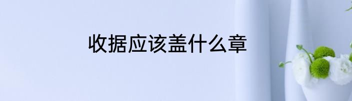 收据应该盖什么章