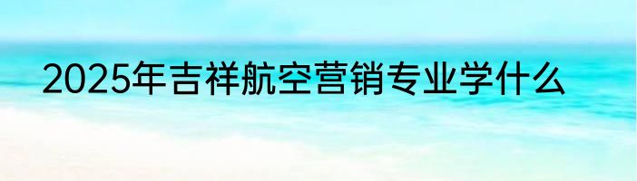 2025年吉祥航空营销专业学什么