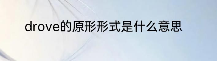 drove的原形形式是什么意思