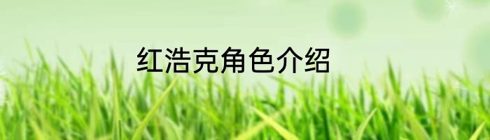 红浩克角色介绍