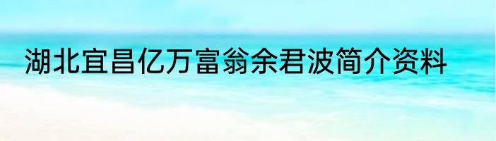 湖北宜昌亿万富翁余君波简介资料