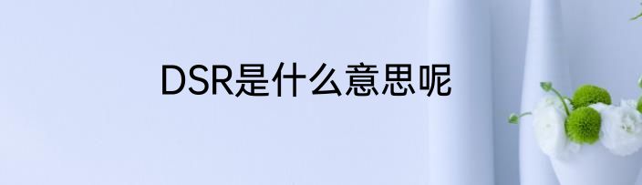 DSR是什么意思呢
