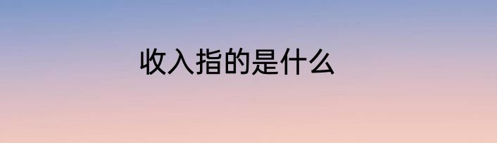 收入指的是什么