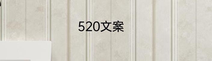 520文案