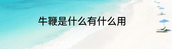 牛鞭是什么有什么用