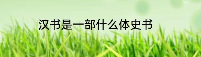 汉书是一部什么体史书
