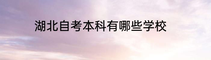 湖北自考本科有哪些学校