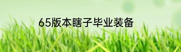 65版本瞎子毕业装备
