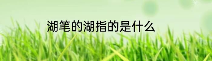 湖笔的湖指的是什么