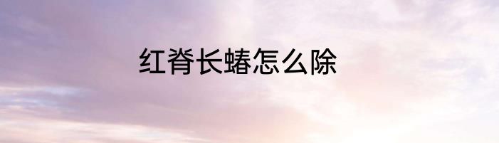 红脊长蝽怎么除