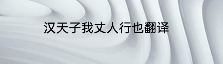 汉天子我丈人行也翻译