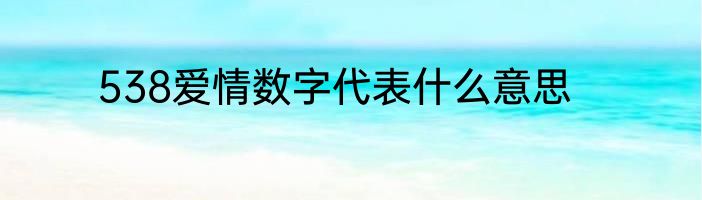 538爱情数字代表什么意思