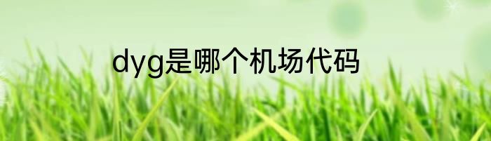 dyg是哪个机场代码