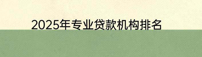 2025年专业贷款机构排名