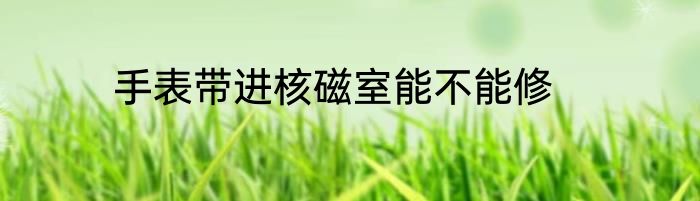 手表带进核磁室能不能修