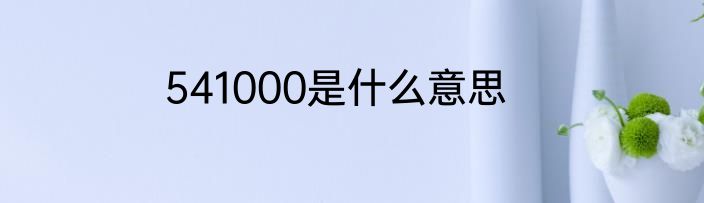 541000是什么意思