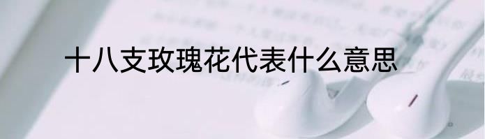 十八支玫瑰花代表什么意思