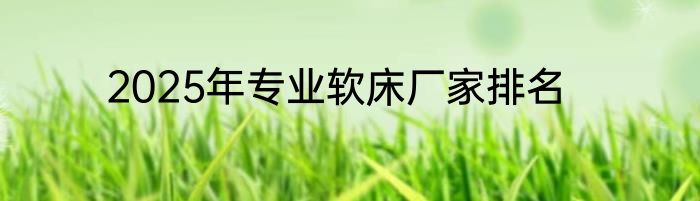 2025年专业软床厂家排名