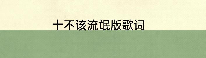 十不该流氓版歌词