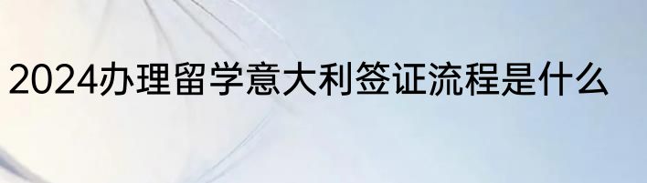 2024办理留学意大利签证流程是什么