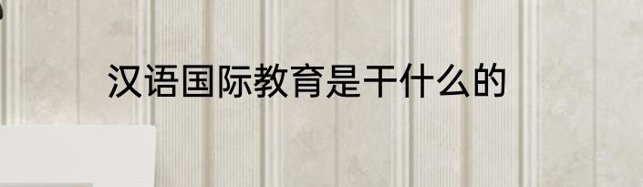 汉语国际教育是干什么的