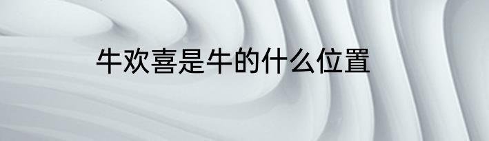 牛欢喜是牛的什么位置