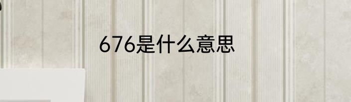 676是什么意思