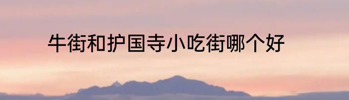牛街和护国寺小吃街哪个好