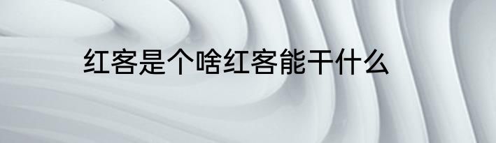 红客是个啥红客能干什么