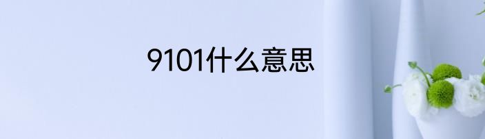 9101什么意思