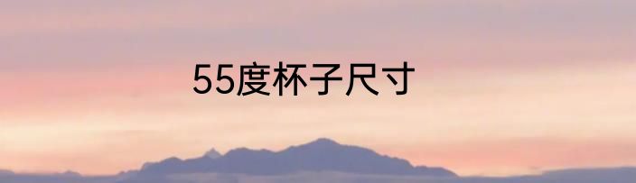 55度杯子尺寸